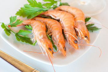 Tiger shrimps
