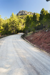 Camino del canal de la Toba