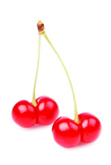 Cherry isolated white background
