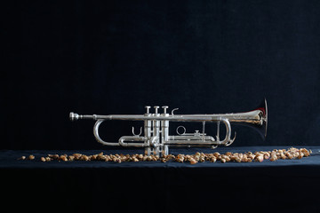 trumpet on black background with dried roses