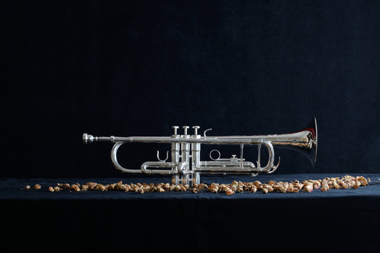 Trumpet On Black Background With Dried Roses