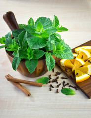 Mortar and pestle with mint.