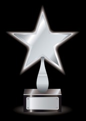 Silver star award trophy