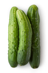 Three greenhouse cucumbers