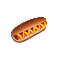 hot-dog on white background