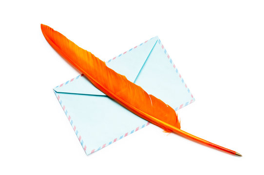 Letter and feathe isolated on the white