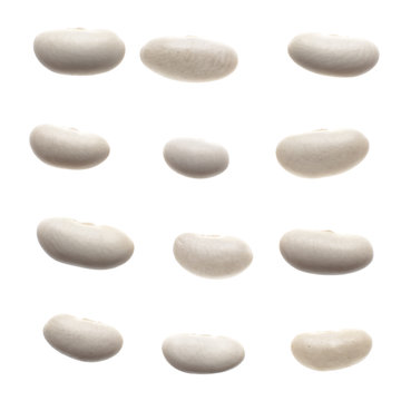 Set of white beans