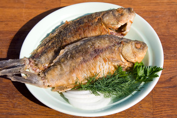 Fried fish crucian in plate