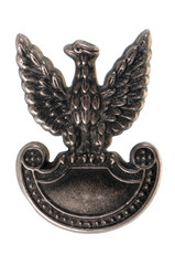 Metal eagle - military symbol