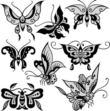 fashion butterfly illustration