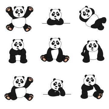 Cute Panda Set