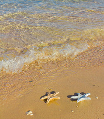 Heaven Got Gifts from the Sea