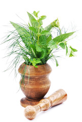 Mortar with mint and other herbs