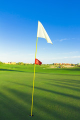 Golf Flag Spread On The Wind