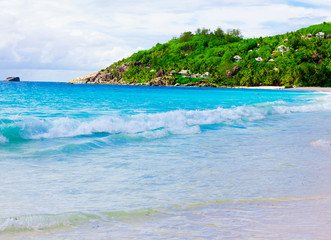 Jungle Panorama Shore