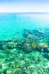 Naklejka na ściany i meble Vacation Coral Paradise
