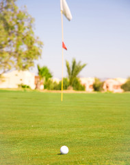 Obraz premium Course Beauty Background