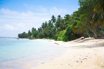 Landscape Beach View