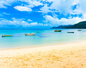 Fototapeta premium Jungle Shore Panorama