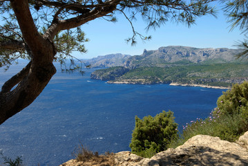 Du Cap Canaille, vue sur les Calanques de Cassis