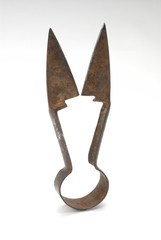 sheep shears