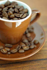 espressobohnen
