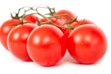 Tomatoes on a white