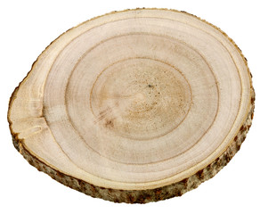 sous-verre rondelle bois