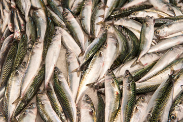 Fototapeta premium fresh fish at a fish market