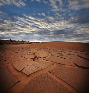 Drought land © Galyna Andrushko