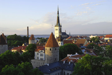 Old Tallinn evening panoram