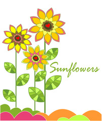 Sunflowers