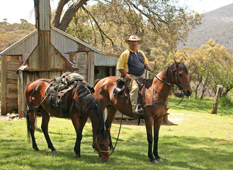 man and horse