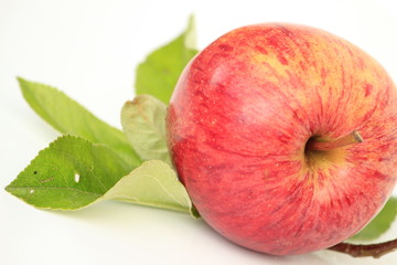 Apfel