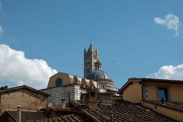 Duomo di Siena visto dai tetti della città