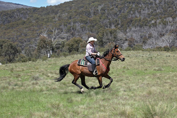female horse rider