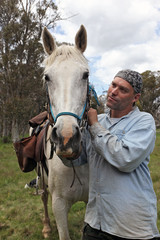 Fototapeta premium man and horse