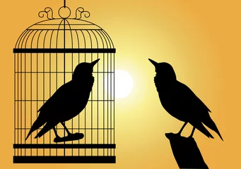 Crédence de cuisine en verre imprimé Oiseaux en cages Oiseau_Cage