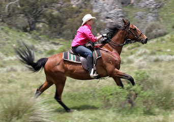 female horse rider