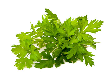 Parsley