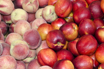 Nectarine-Pfirsich