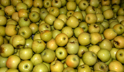 Apfel