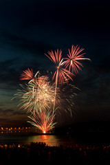 Brightly colorful fireworks  in the night sky