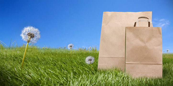 Paper supermarket bags on green graas meadow