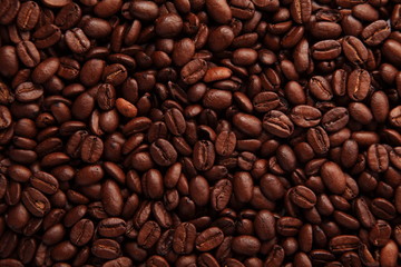 コーヒー豆