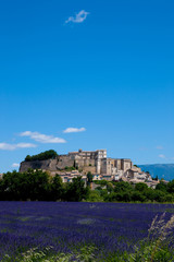 Fototapeta na wymiar village provençal et champs de lavande