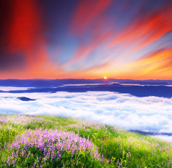 Fototapeta premium sunset is in mountains