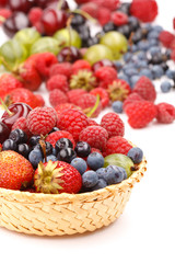 different kinds of berries