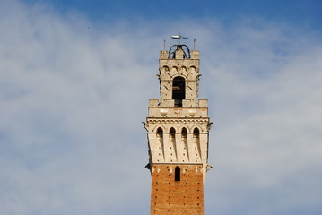 Obraz premium siena
