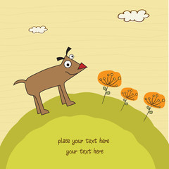 happy little cute dog